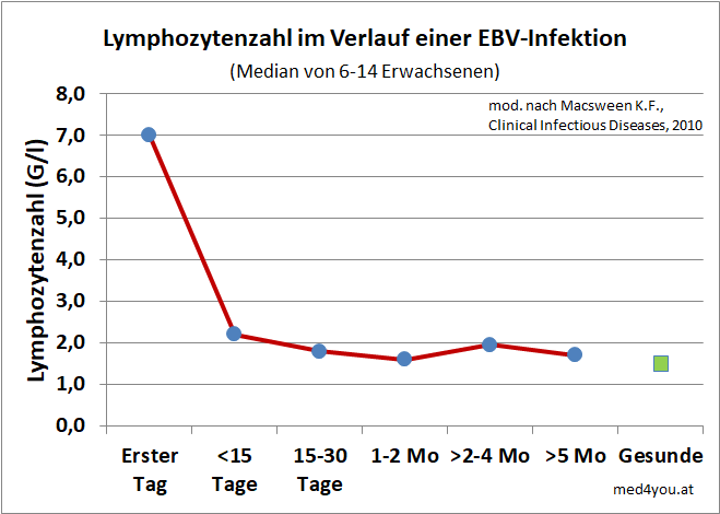 Verlauf der Lymphozytenzahlen bei EBV-Infektion