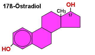 Auch stradiol gehrt zu den sog. Steroidhormonen, es hat aber keine Ketogruppe, sondern 2 OH-Gruppen.