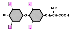 Chemische Formel von Thyroxin (T4)
