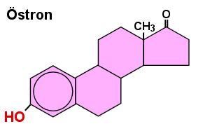 Chemische Formel des strons: es besitzt eine OH- und eine Keto-Gruppe (=0).