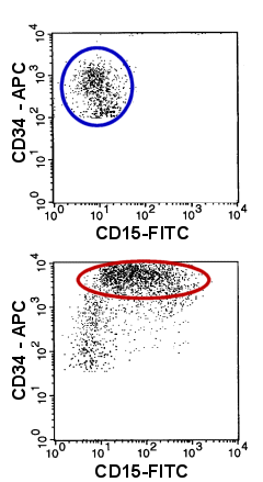 To find coexpression of CD34 and CD15 is abnormal