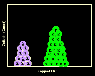 Kappa-FITC-stained B-cells in a single-parameter histogram