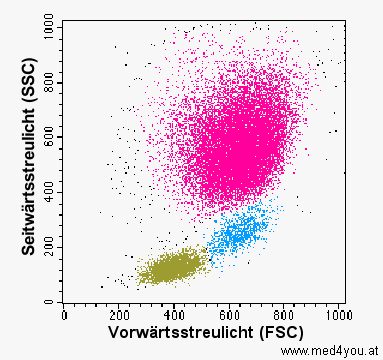 Streulicht-Diagramm (Scatter-Dot-Plot)